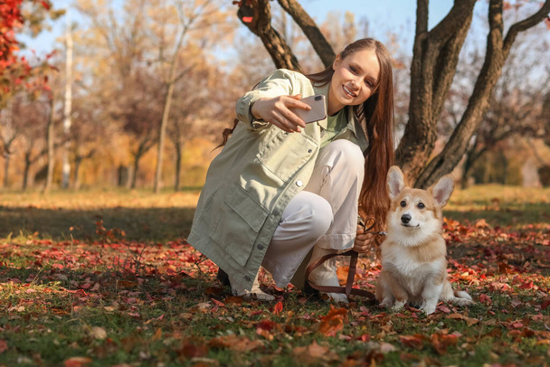 若いです女性とともに可愛いですコーギー犬取ります自画撮り秋公園 - 写真・画像