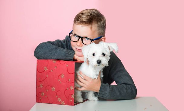 Το παιδί έχει δώρο γενεθλίων. Πορτρέτο του ξανθού αγοριού και του λευκού σκύλου. Το παιδί παίζει με το σκυλάκι. Μικρό κατοικίδιο να βγει από το παρόν κουτί στο σπίτι. Παιδιά και κατοικίδια στο σπίτι. Φροντίδα των ζώων - Φωτογραφία, εικόνα