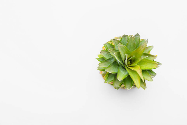 Fresh ripe pineapple isolated on white background - Foto, Imagen