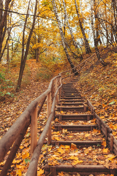 σκάλες στην φθινοπωρινή περίοδο πάρκο - Φωτογραφία, εικόνα