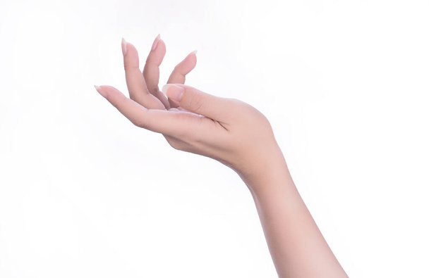 Mooie vrouw handen geïsoleerd op witte achtergrond, concept van het houden van een virtueel ding of hand manicure zorg, closeup. - Foto, afbeelding