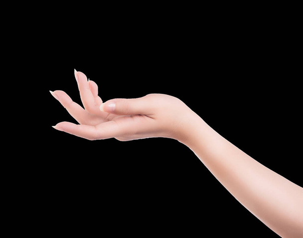 Piękne ręce kobiety odizolowane na czarnym tle, koncepcja trzymania wirtualnej rzeczy lub pielęgnacji manicure rąk, zbliżenie. - Zdjęcie, obraz