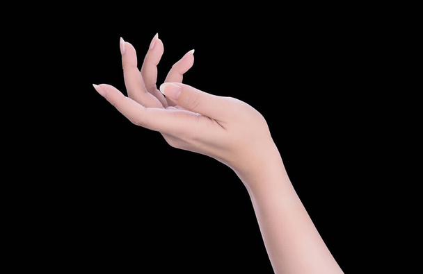 Schöne Frauenhände isoliert auf schwarzem Hintergrund, Konzept des Haltens einer virtuellen Sache oder Handpflege, Nahaufnahme. - Foto, Bild