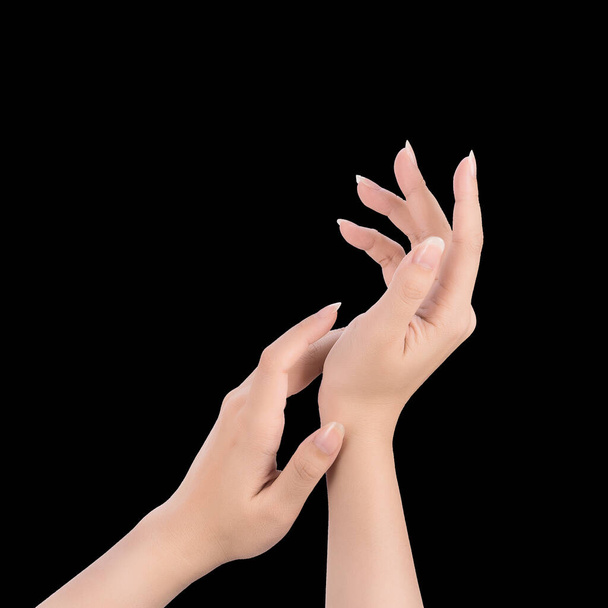 Beautiful and elegant woman hands isolated on black background, concept of applying moisturizing cream and body care, closeup. - 写真・画像