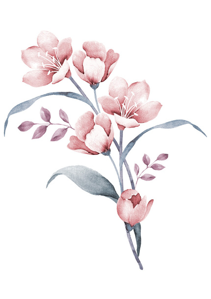 Watercolor illustration flower - 写真・画像