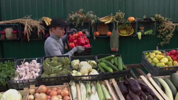 Κόκκινες πιπεριές στην λαϊκή αγορά. Ένας άνδρας πωλητής βάζει ένα κουτί κόκκινο πιπέρι στον πάγκο. Η κάμερα κινείται ομαλά κατά μήκος των κουτιών με μια ποικιλία λαχανικών. - Πλάνα, βίντεο
