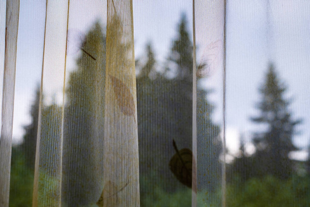 The view of the forest through the curtain. Peace and tranquility, calm and serenity - Foto, immagini