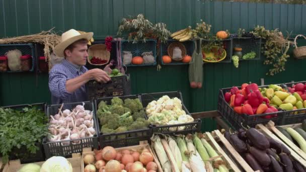 Cetrioli al mercato agricolo. Un venditore maschio mette una scatola di cetrioli sul banco.La fotocamera si muove senza intoppi lungo le scatole con una varietà di verdure.. - Filmati, video