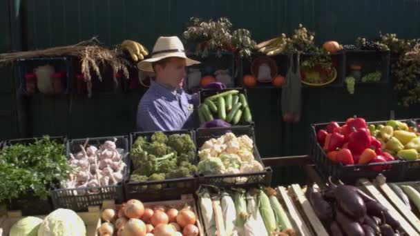 Cucumbers at the farmers' market. A male salesman puts a box of cucumbers on the counter and then looks into the camera.The camera moves smoothly along the boxes with a variety of vegetables. - Footage, Video