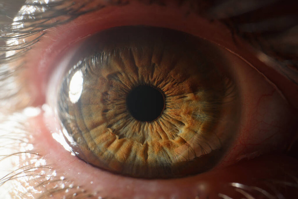 Primer plano de hermoso ojo humano verde marrón - Foto, Imagen