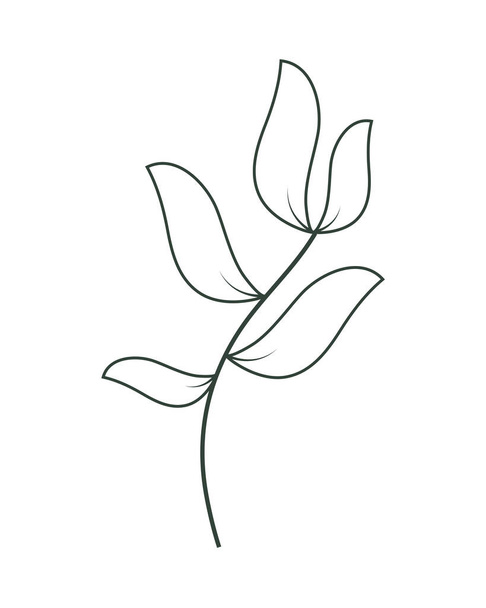 delicate leaves botanical - Vector, afbeelding