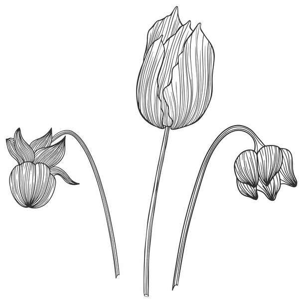 Illustration of abstract flowers. Line vector art - Vector, imagen