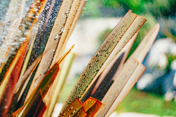 Faire dorer de fines feuilles dans des gouttes d'eau. Flou - Photo, image
