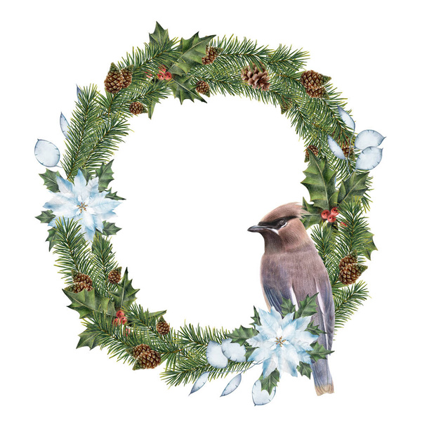 Raster illustration of a coniferous wreath and a whistler bird. Christmas illustration. Winter theme. Illustration of a whistle and a Christmas wreath. - Фото, зображення