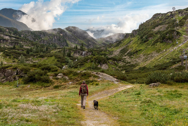 Woman hiking with her dog in the High Tauern National Park, the Austrian alps - Фото, изображение