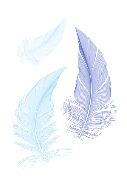 blue birds feathers, vector - Wektor, obraz