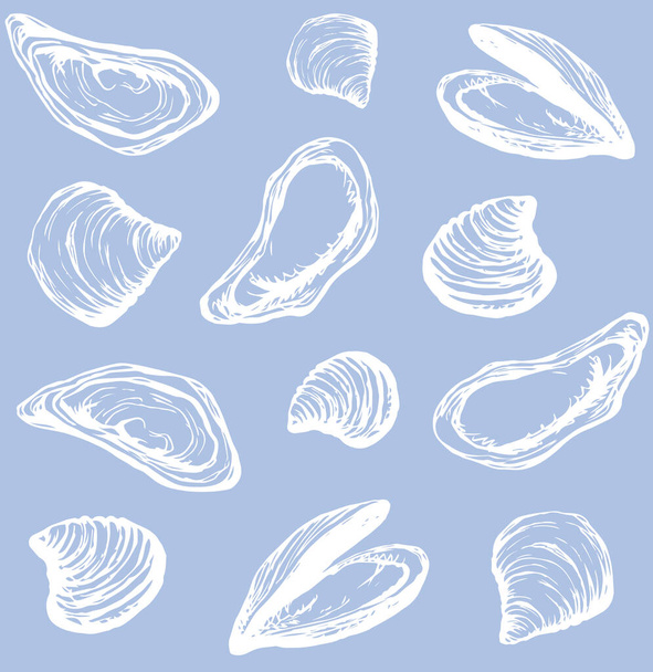 Big fresh perl Ostreidae mollusc on blue backdrop. Outline cyan ink hand drawn french diet delicacy dining icon sign design sketchy in retro art cartoon doodle engraved style pen on white paper - Vektor, Bild