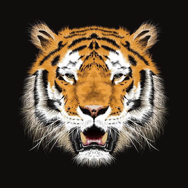 Bosquejo vectorial de cabeza de tigre de bengal. impresión animal.Vida silvestre. - Vector - Vector, imagen