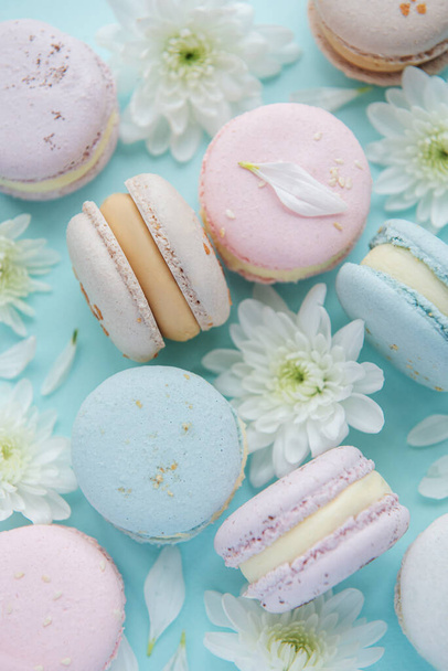 Beautiful colorful tasty macaroons and white flowers on a blue background - Foto, immagini