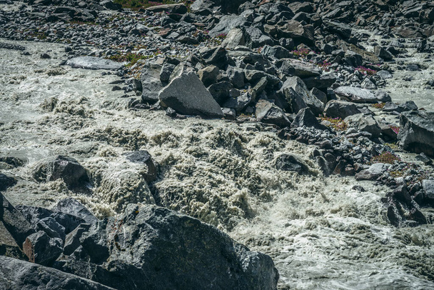 Atmospheric landscape with powerful rapids of turbulent mountain river with gray water among big boulders. Beautiful scenery with fast mountain river on moraines and small pink flowers among stones. - Valokuva, kuva