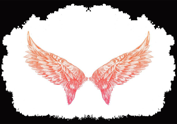 Цветной рисунок крыла птицы - Вектор,изображение