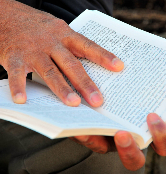 A senior male hands holding a book - Foto, immagini