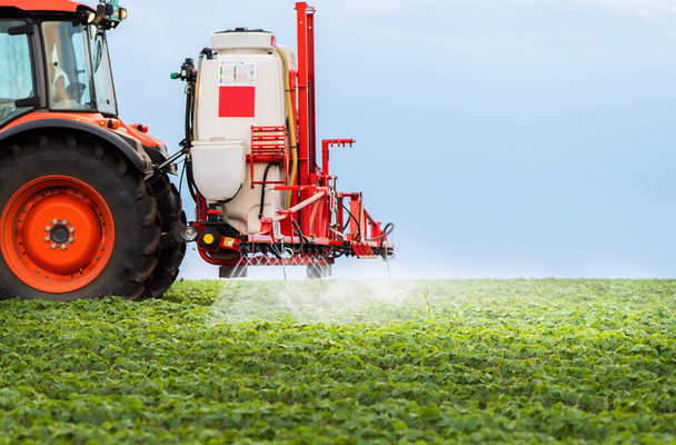 Tractor spraying pesticides on soy field  with sprayer at spring - Photo, Image