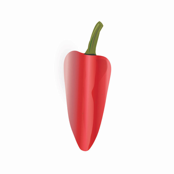 red pepper isolated on white background - Διάνυσμα, εικόνα