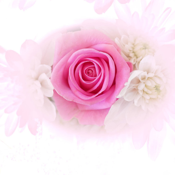 濃いピンクのバラと白い菊のトップビュー、フィルタリングされたイメージ - 写真・画像