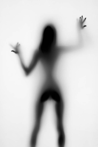 silhouette of a beautiful sexy young woman - Fotó, kép