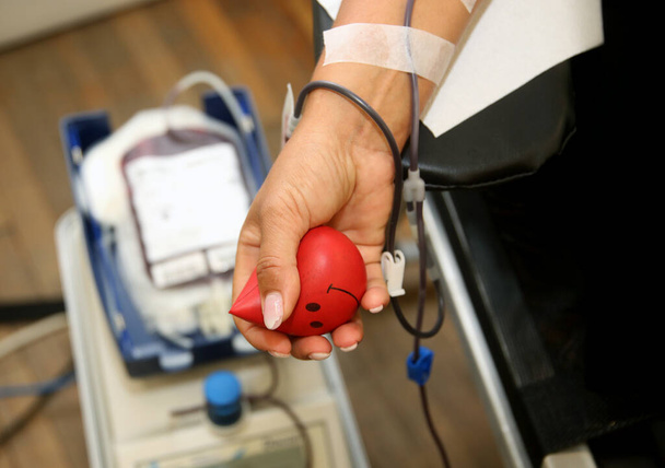 Detalle con la mano de un donante de sangre y una bolsa de sangre plástica en un hospital
 - Foto, Imagen