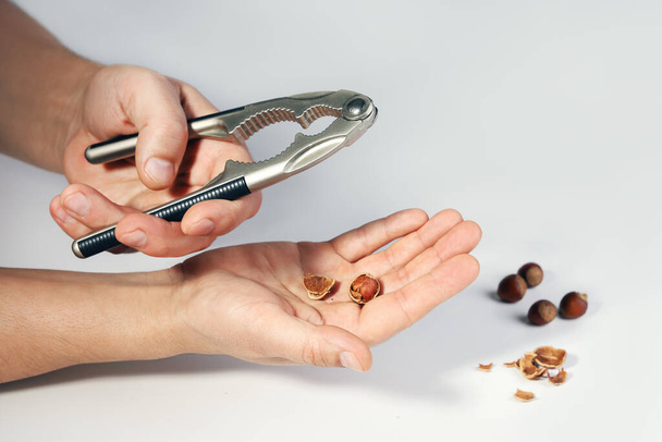 Hand holds pliers for splitting of nut shells, on another palm already chopped hazelnut, on white background close-up - Foto, Imagem
