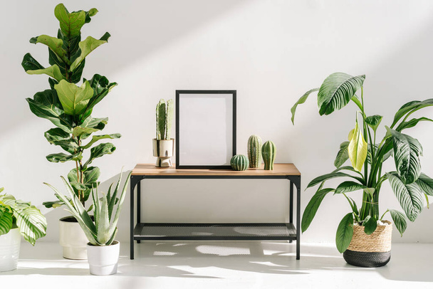 Concept of growth houseplants, greenery, wooden furniture and home decor in minimalist modern house. Picture frame with blank space or mockup art at wooden table, near plants and cactus in flower pots - Photo, Image
