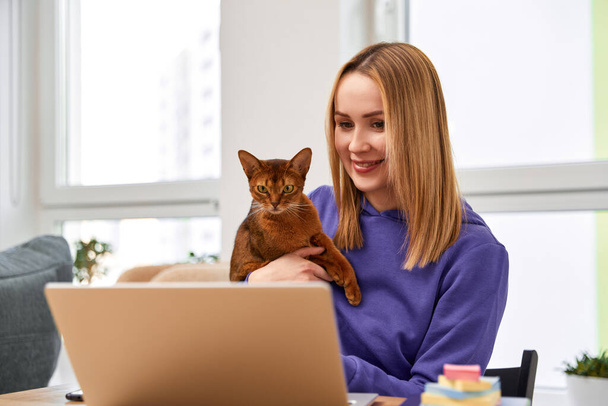 Usmívající se mladá dospělá žena ve fialové mikině s prohnanou kočkou používající notebook. Práce z konceptu domova - Fotografie, Obrázek