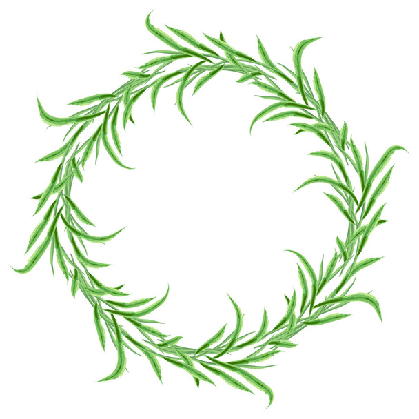 Decorative vector wreath from watercolor drawings abstract green leaves - Vektor, kép