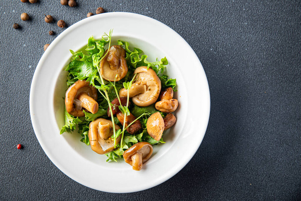 eingelegte Pilzmischung Salat gesunde Mahlzeit Lebensmittel Snack auf dem Tisch kopieren Raum Lebensmittel Hintergrund rustikal Draufsicht Keto oder Paläo-Diät veggie vegane oder vegetarische Lebensmittel - Foto, Bild