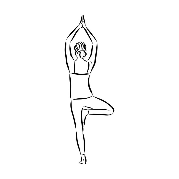 Женщина делает упражнения в позе йоги. Рисунок линии. Концепция здорового образа жизни - векторная иллюстрация - Вектор,изображение
