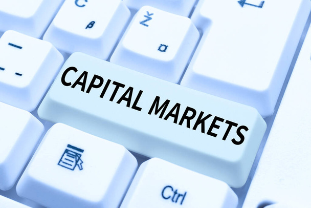 Rukopis Capital Markets. Word Written on Allow businesses to raise funds by providing market security Typing Online Member Name Lists, Creating New Worksheet Files - Fotografie, Obrázek