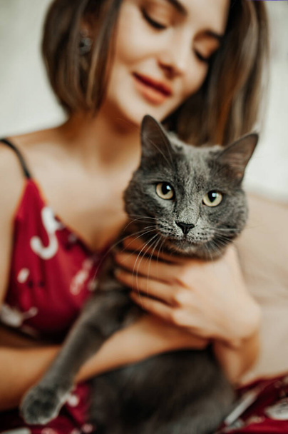 mujer sostiene cuidadosamente a su gato gris en sus brazos. cuidando de los animales. amor por una mascota. enfoque selectivo - Foto, Imagen