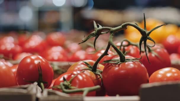 Detailní dozrálé šťavnaté zdravé chutné zeleniny červená rajčata leží na pultu v supermarketu obchodu s potravinami v průmyslovém skladu, zdravý životní styl, zemědělství, potraviny a výživy koncepce. Prodej dodávky - Záběry, video