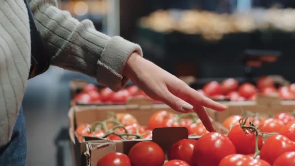 Yakın plan kadın el alışverişçisi kız tezgahın yanındaki kırmızı olgun domatesleri seçiyor. Kesilmiş manzara tanınmayan kadın vejetaryen gıda tüketicisi süpermarkette sebzeleri işaret ediyor. - Video, Çekim