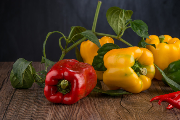 Colored bell peppers - Foto, Imagen