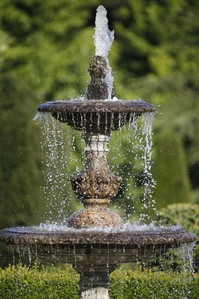 Fountain. Garden and nature. France.  - Фото, изображение