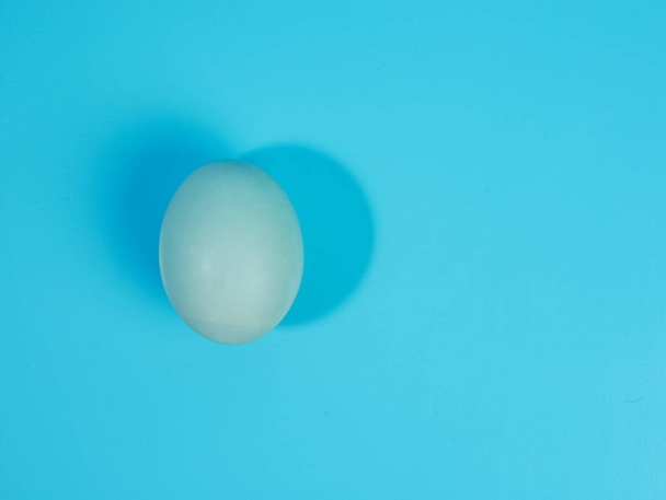 голубое яйцо на голубом фоне. - Фото, изображение