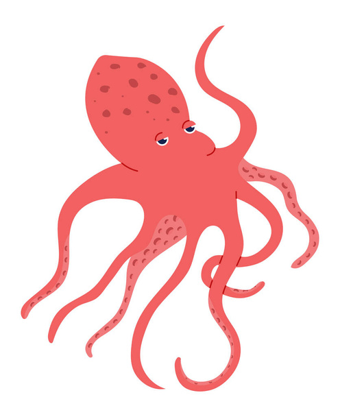 Red octopus isolated on white, marine life - Vector, Image