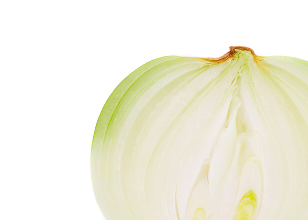 White onion slice  - Photo, image