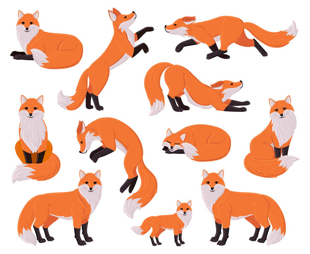 Cartoon foxes, forest red cute fox character. Woodland animal, forest wildlife predator sleeping, running, jumping vector illustration set. Funny red fox mascot - Vektor, kép