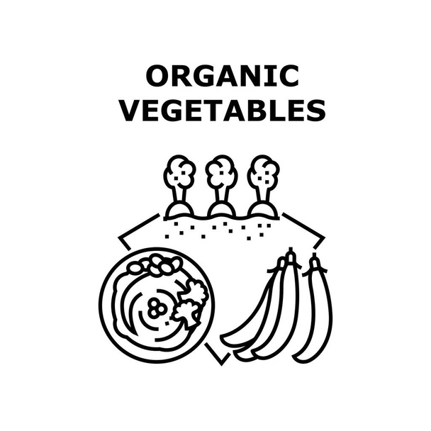 Organic Vegetables Concept Black Illustration - Vetor, Imagem