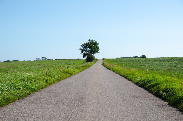 Country road through green fields - 写真・画像