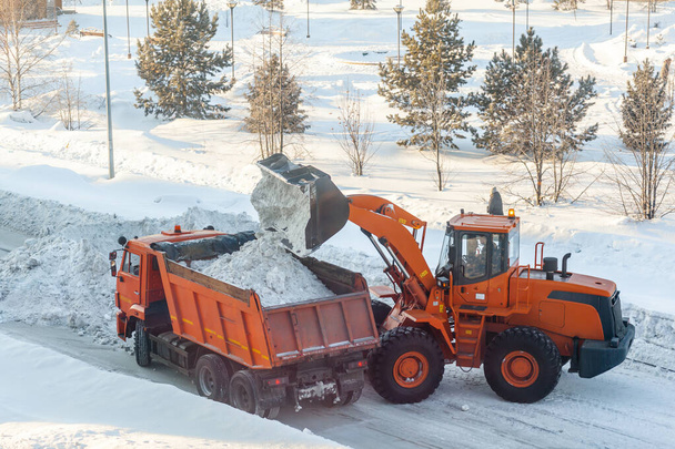 Velký oranžový traktor čistí sníh ze silnice a naloží ho do náklaďáku. Úklid a čištění silnic ve městě od sněhu v zimě - Fotografie, Obrázek